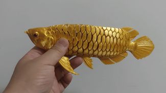 Arowana