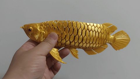 https://makerworld.bblmw.com/makerworld/model/US61f088060611c1/design/2024-07-16_631ba6bd2966e.gif