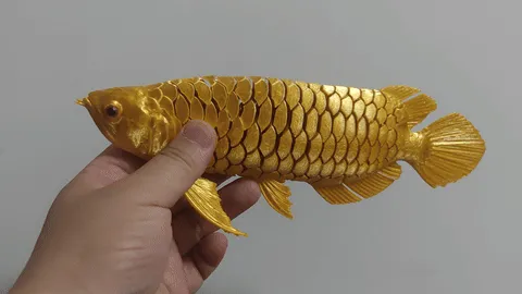 Arowana