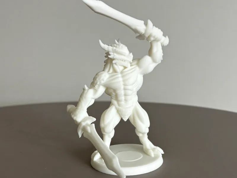 Dragonborn Fighter Dual Wielding sword DND