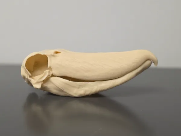 https://makerworld.bblmw.com/makerworld/model/US61f910a37805d6/design/f16ecc6f7692b76e.jpg