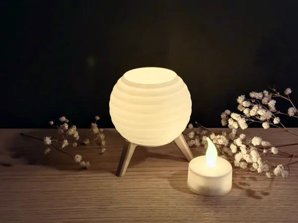 https://makerworld.bblmw.com/makerworld/model/US61fa023796f0d0/design/2025-01-28_09d356cee695a8.jpeg