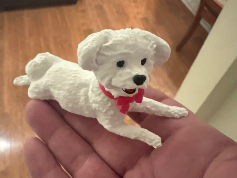 White Dog with Red Collar and Bow