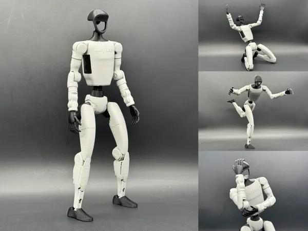 https://makerworld.bblmw.com/makerworld/model/US61ff2c2bba80de/design/5f3e09e950248872.jpg