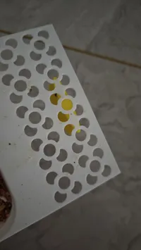食盒垫补