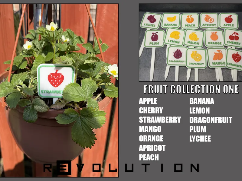 Fruit Collection One - Seed / Plant Markers