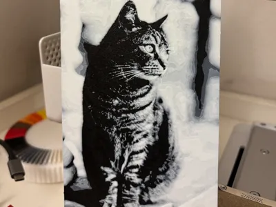 European Cat