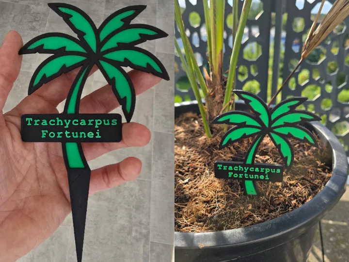 Palmier Custom Plant Label (Étiquette Plante)