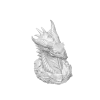 Tête de dragon — photo 3