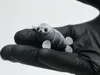 Seal multicolor