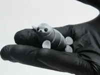 Seal multicolor
