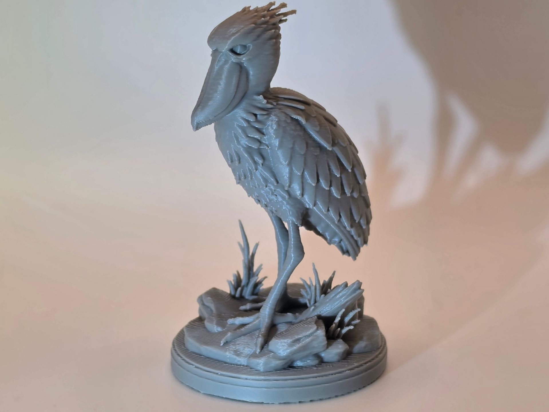 Shoebill Stork – Tiere aus aller Welt