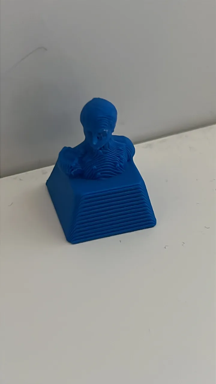 Jan van Speijk mx cherry keycap view 3
