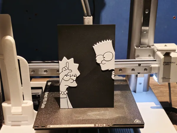 https://makerworld.bblmw.com/makerworld/model/US621cbb2d0b2609/design/2024-07-08_446b85a4f100a.jpg