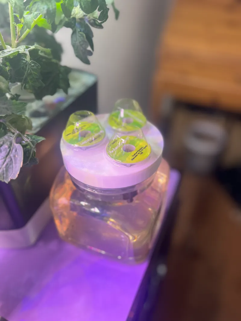 Medium Aerogarden three pod design