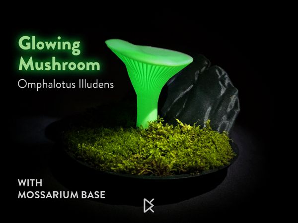 https://makerworld.bblmw.com/makerworld/model/US62207c0483b210/design/2024-08-06_1d73b5de669c5.gif