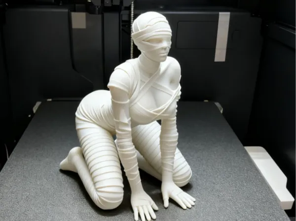 https://makerworld.bblmw.com/makerworld/model/US622257af38cfda/design/2025-11-09_5151e8af3a9f38.png