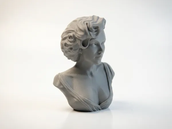 https://makerworld.bblmw.com/makerworld/model/US6225e3cfaa47ec/design/dd9d6156083a0e79.png