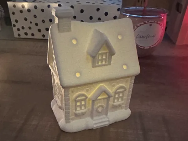 https://makerworld.bblmw.com/makerworld/model/US6228d03c733560/design/2025-11-25_299efacd0e249.jpg