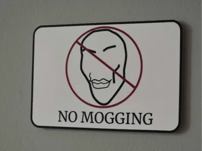 No Mogging Sign