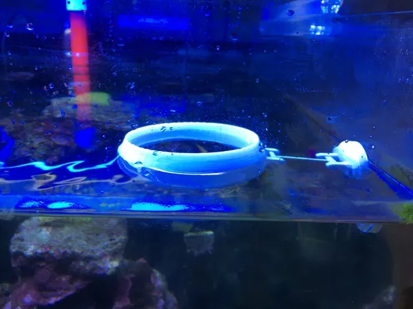 https://makerworld.bblmw.com/makerworld/model/US622ff582c133d/design/2024-02-20_oksbodhxc1ew.jpg