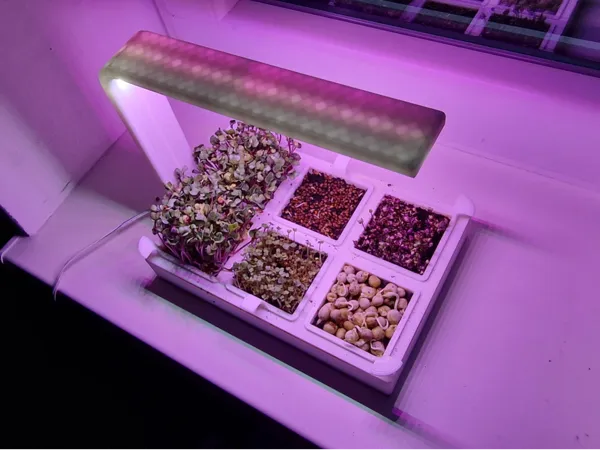 https://makerworld.bblmw.com/makerworld/model/US623c0ac4a09ef2/design/2025-01-22_883204f527dba.jpg