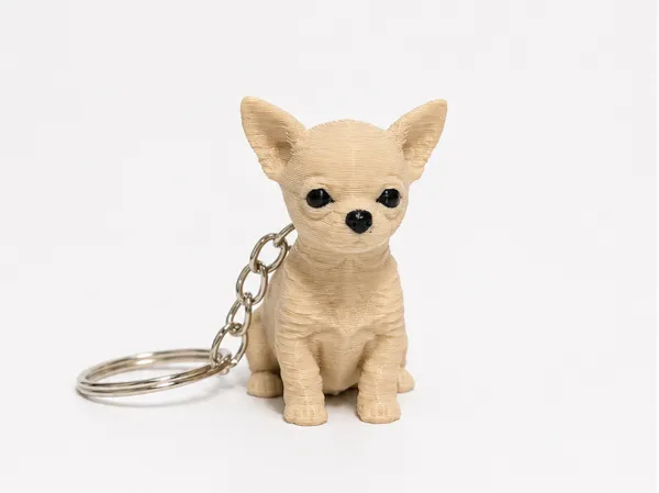 https://makerworld.bblmw.com/makerworld/model/US623dc7e693f56e/design/7baae50ead3c291f.png