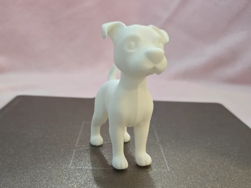 Cute Standing Dog