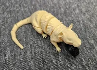Single Color - 0.16mm layer, 2 walls, 15% infill