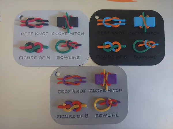 https://makerworld.bblmw.com/makerworld/model/US62476727d63ba1/design/78eedf734b3f102c.jpg