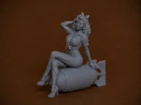 0.2mm nozzle, 0.08mm layer, 4 walls, 5% infill