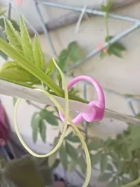 10 holders