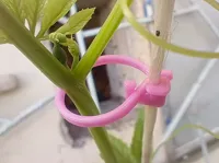 1 holder