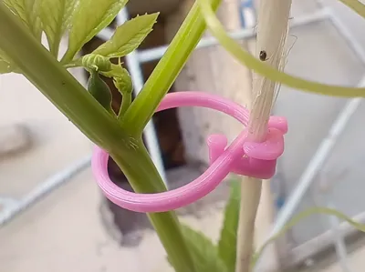 Self-locking plant support - ideal for rope