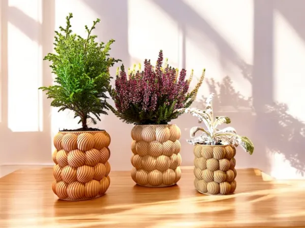 https://makerworld.bblmw.com/makerworld/model/US62564c733ee9d5/design/2025-11-05_19f0188e929cb8.jpg