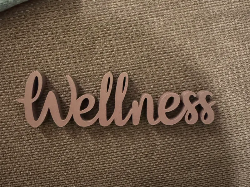 Wellness Schriftzug 