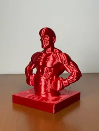0.16mm layer, 2 walls, 5% infill