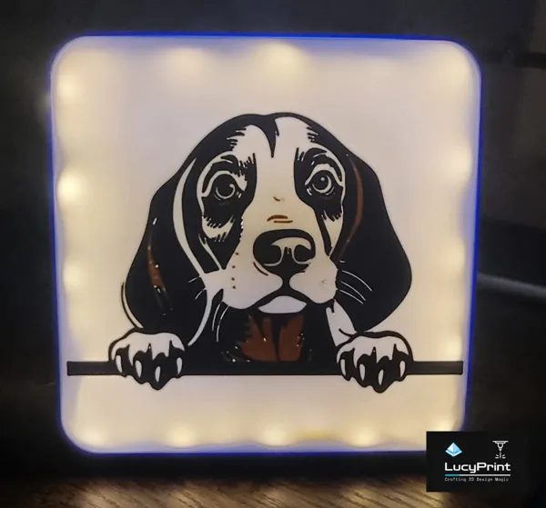 https://makerworld.bblmw.com/makerworld/model/US62638a5da3f95d/design/2024-05-08_7506bdd7fd21a.jpg