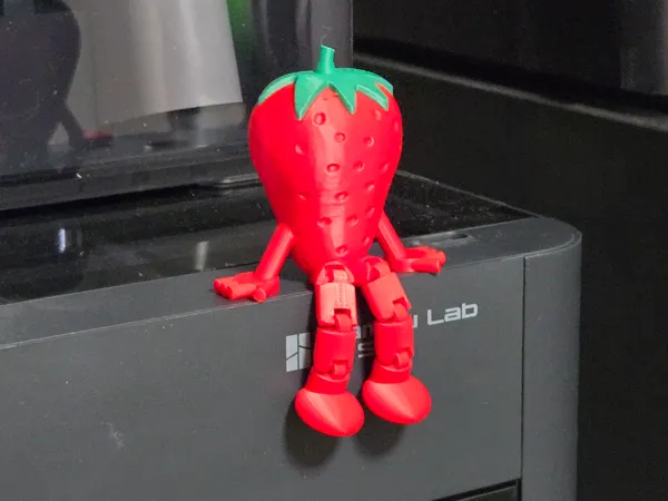 https://makerworld.bblmw.com/makerworld/model/US626405a02c5482/design/d13b249e4e820012.jpg