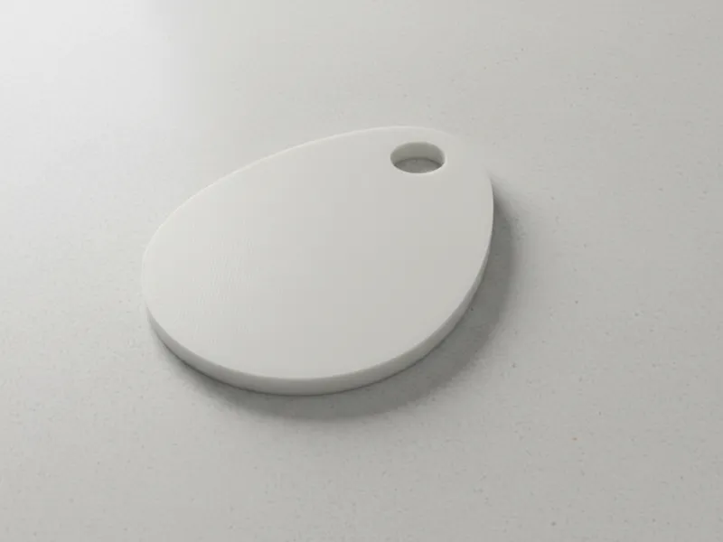 NFC Tag Holder Keychain