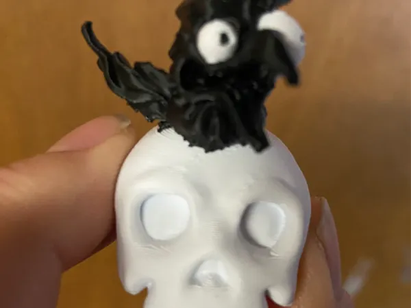 https://makerworld.bblmw.com/makerworld/model/US6268aea4c9d263/design/2025-02-22_c6739099fb2f2.jpeg