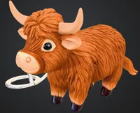 Cute highland cow