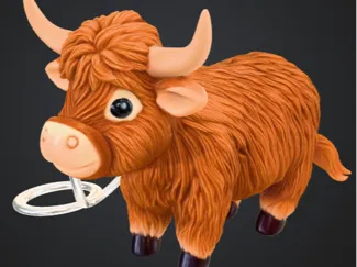 cute highland cow
