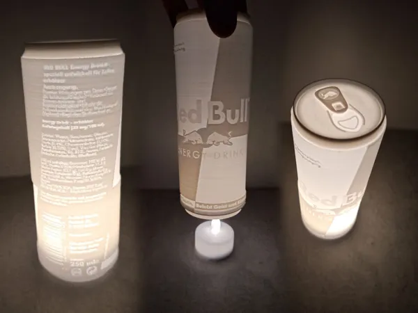 https://makerworld.bblmw.com/makerworld/model/US6270bf9657d64c/design/2024-12-24_224d040b019108.jpg