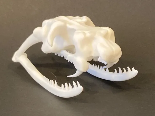 https://makerworld.bblmw.com/makerworld/model/US6270d03ee8ae33/design/2025-01-12_af2433a807fee.webp