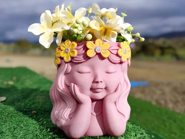 https://makerworld.bblmw.com/makerworld/model/US6271ef3ef01a3c/design/2025-11-14_fe53d665c4b4d8.jpg