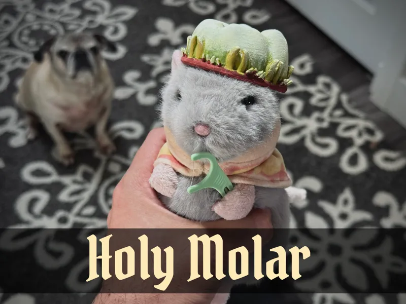 Holy Molar