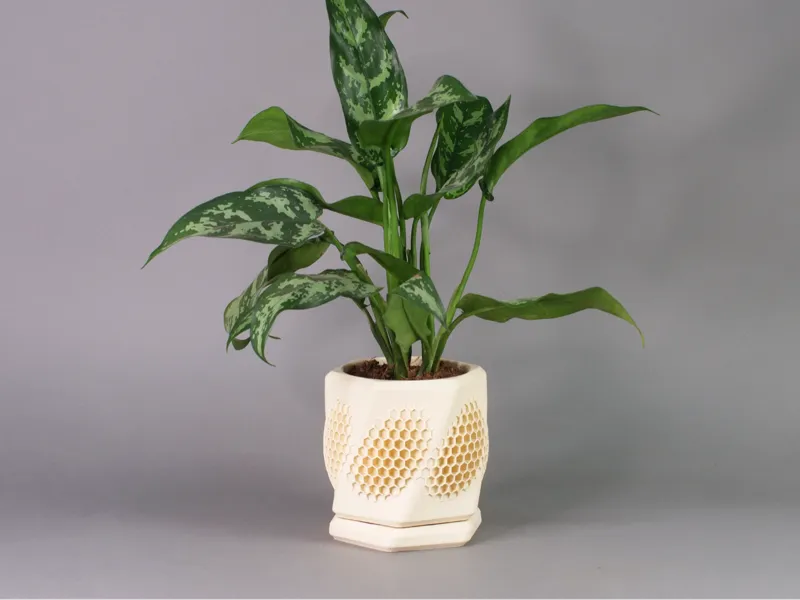 Hexahive Planter Pot