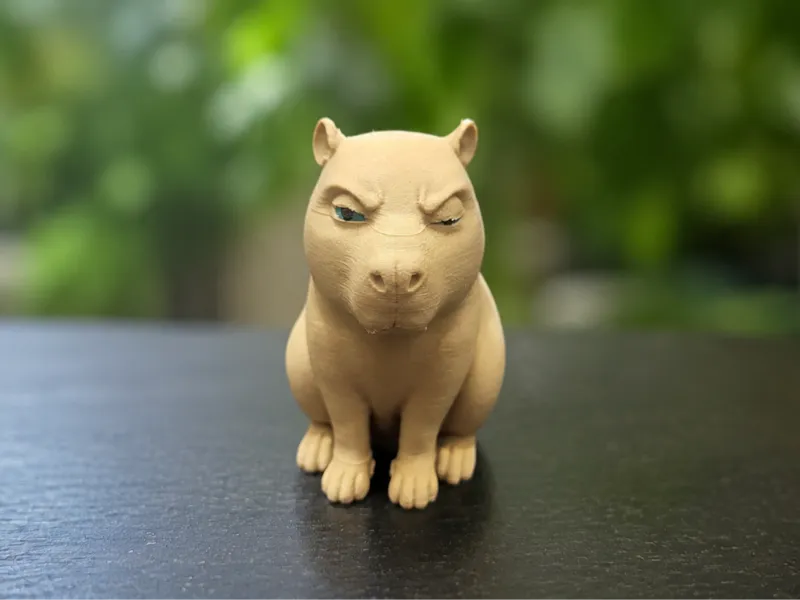 Just Capybara
