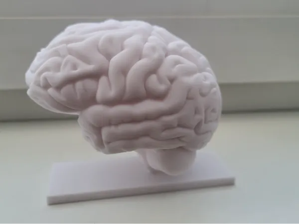 https://makerworld.bblmw.com/makerworld/model/US6277e816368a6c/design/5956aecb37228f80.jpg